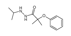 51963-53-2 structure