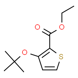 3-tert-Butoxy-2-thiophenecarboxylic acid ethyl ester structure