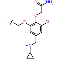 2-{2-Chloro-4-[(cyclopropylamino)methyl]-6-ethoxyphenoxy}acetamide结构式