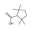 2,2,5,5-tetramethylcyclopentane-1-carboxylic acid结构式