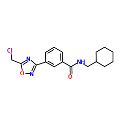 3-[5-(Chloromethyl)-1,2,4-oxadiazol-3-yl]-N-(cyclohexylmethyl)benzamide Structure