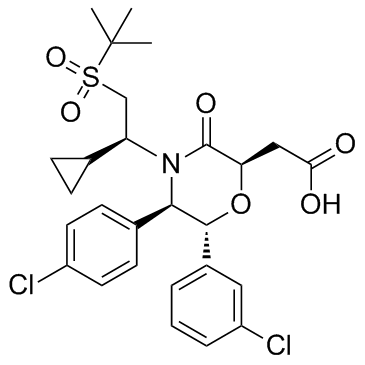 AM-8735 picture