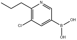 5-Chloro-6-(n-propyl)pyridine-3-boronic acid picture