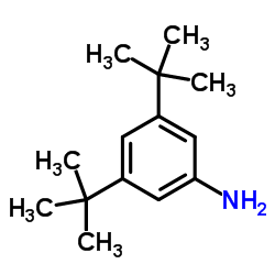 3,5-二叔丁基苯胺结构式