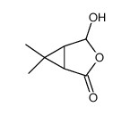 cis-caronaldehydic acid hemiacetal picture