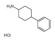 4-phenylcyclohexan-1-amine,hydrochloride Structure