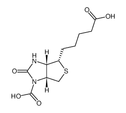 N1'-carboxybiotin picture