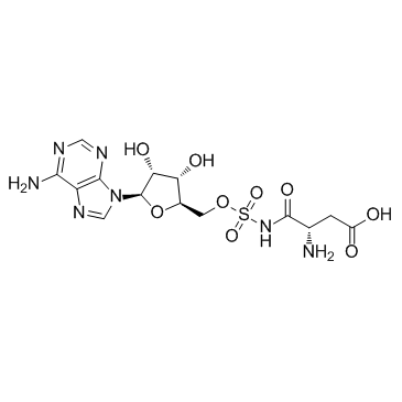 Asp-AMS structure