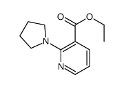 Ethyl 2-(1-pyrrolidinyl)nicotinate Structure