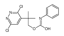 [2-(3,6-dichloropyridazin-4-yl)-2-methylpropyl] N-phenylcarbamate结构式