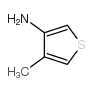 3-Amino-4-methylthiophene picture