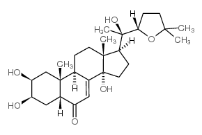 26361-67-1结构式