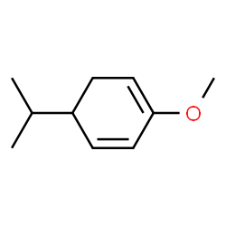 1,3-Cyclohexadiene,2-methoxy-5-(1-methylethyl)-(9CI) picture