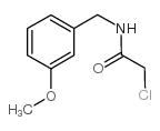 2-氯-N-(3-甲氧基苄基)乙酰胺图片