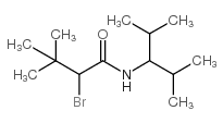 N1-(1-异丙基-2-甲基丙基)-2-溴-3,3-二甲基丁酰胺结构式