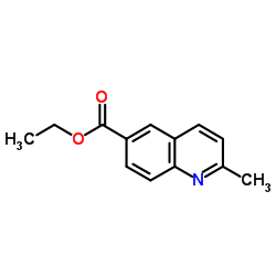 2-甲基喹啉-6-甲酸乙酯结构式