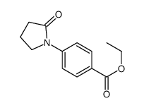 ETHYL 4-(2-OXO-1-PYRROLIDINYL)BENZENECARBOXYLATE picture