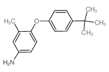 4-[4-(tert-Butyl)phenoxy]-3-methylphenylamine结构式