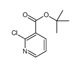 2-氯烟酸叔丁酯图片