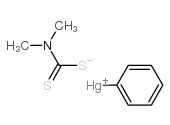 32407-99-1 structure