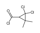 Cyclopropanecarbonyl chloride, 2,2-dichloro-3,3-dimethyl- (9CI) structure