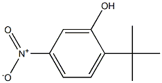 2-tert-Butyl-5-nitro-phenol Structure