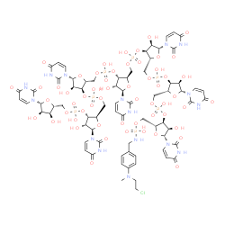 4-(N-2-chloroethyl-N-methyl)aminobenzyl-5'-phosphoamide heptauridylate结构式