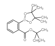 2-(4,4,5,5-四甲基-1,3,2-二氧杂硼烷-2-基)苯甲酸叔丁酯图片