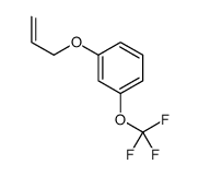 1-prop-2-enoxy-3-(trifluoromethoxy)benzene Structure