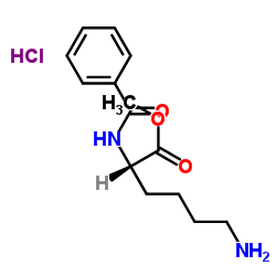 BZ-LYS-OME HCL picture