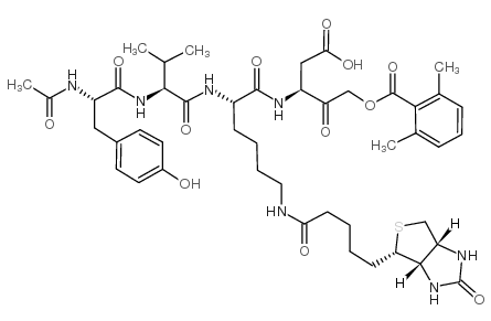 ac-tyr-val-lys(biotinyl)-asp-2,6-dimethylbenzoyloxymethylketone picture