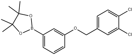 1,3,2-Dioxaborolane, 2-[3-[(3,4-dichlorophenyl)methoxy]phenyl]-4,4,5,5-tetramethyl-图片