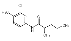 蔬草灭图片