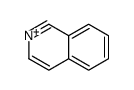 Isoquinolinium Structure