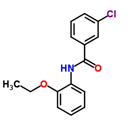 3-Chloro-N-(2-ethoxyphenyl)benzamide结构式