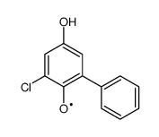 [1,1-Biphenyl]-2-yloxy,3-chloro-5-hydroxy-(9CI) picture