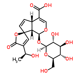 132586-69-7 structure