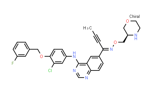 EGF/HER2 dual inhibitor structure