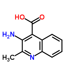 3-氨基-2-甲基喹啉-4-羧酸图片