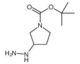 1-Boc-3-hydrazinylpyrrolidine结构式