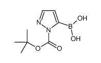 1-(tert-Butoxycarbonyl)-1H-pyrazol-5-ylboronic acid picture