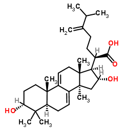 3-epidehydrotumulosic acid structure