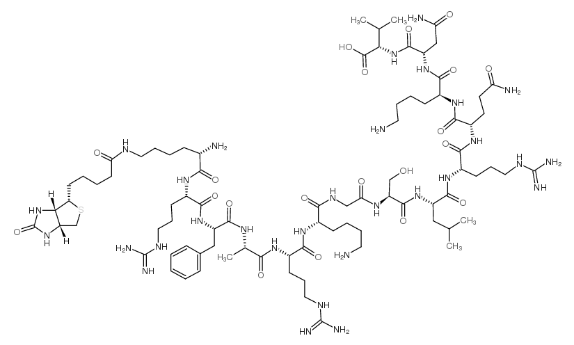 [Ser25]-PKC (19-31), biotinylated Structure