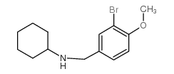 N-[(3-bromo-4-methoxyphenyl)methyl]cyclohexanamine structure