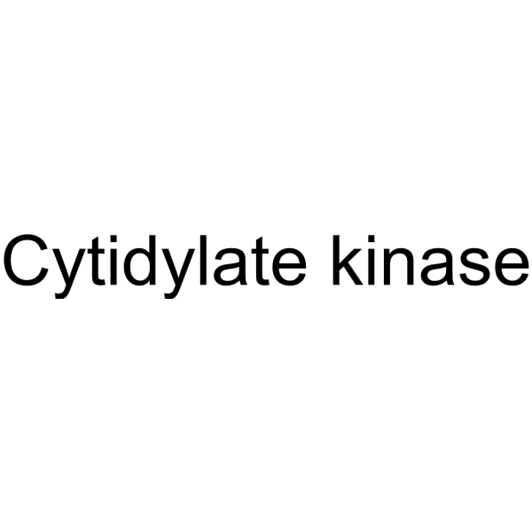 Cytidylate kinase Structure