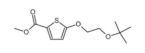 methyl 5-(2-(2-methyl-2-propoxy)-ethoxy)-thiophene-2-carboxylate结构式