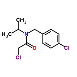 2-Chloro-N-(4-chlorobenzyl)-N-isopropylacetamide结构式