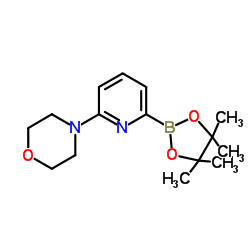 4-(6-(4,4,5,5-tetramethyl-1,3,2-dioxaborolan-2-yl)pyridin-2-yl)Morpholine Structure