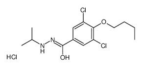 4-butoxy-3,5-dichloro-N'-propan-2-ylbenzohydrazide,hydrochloride Structure