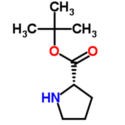 H-Pro-OtBu Structure